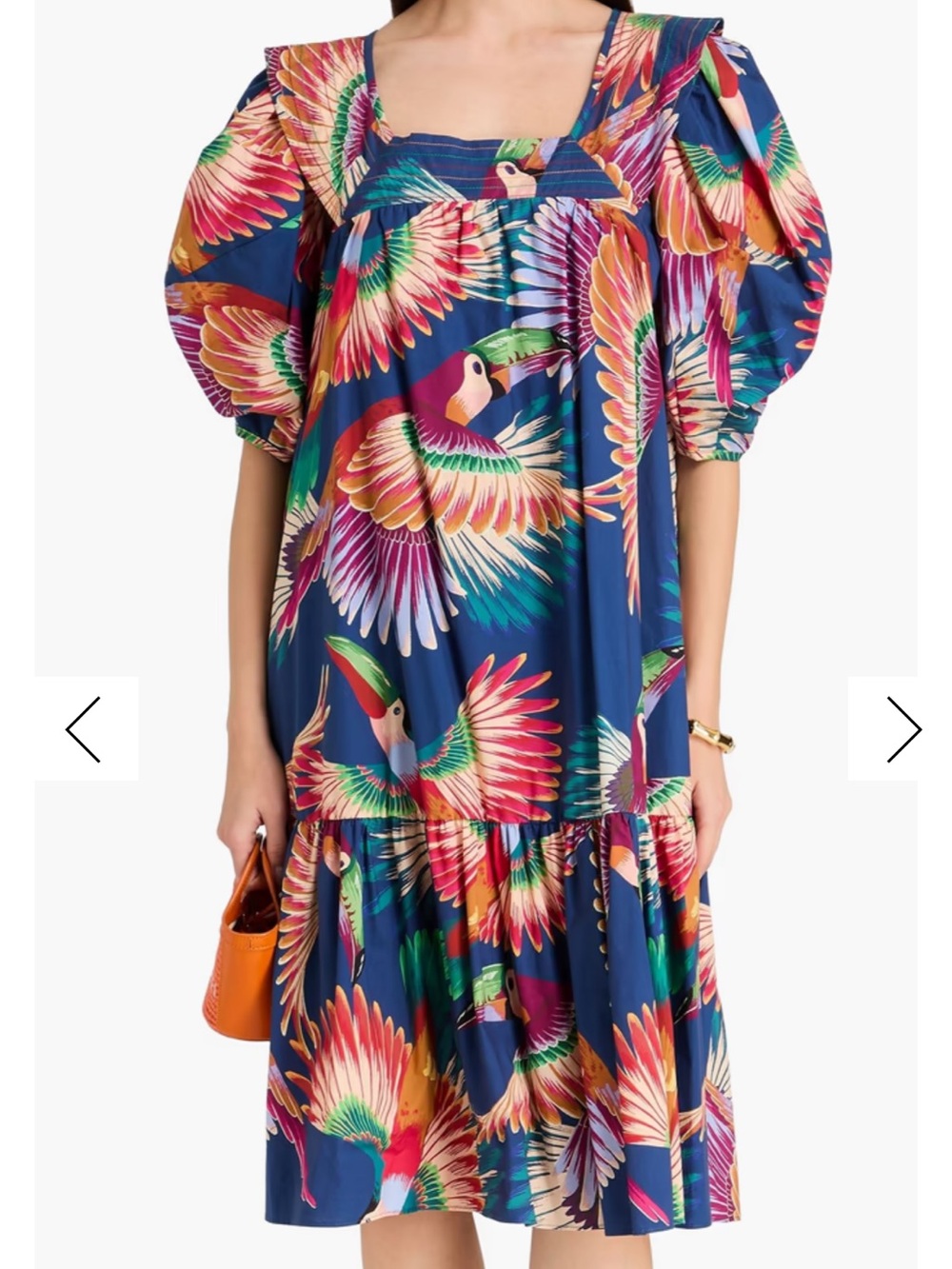 Farm Rio Toucan Print Dress in Blue